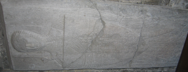 Robert de Bitton 1227